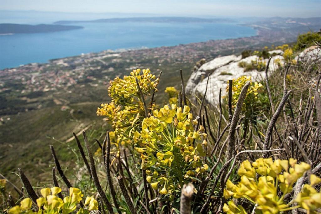 Apartmani Strada Kaštela المظهر الخارجي الصورة